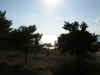 VICTORIA **   Apartments  in Lassi Kefalonia